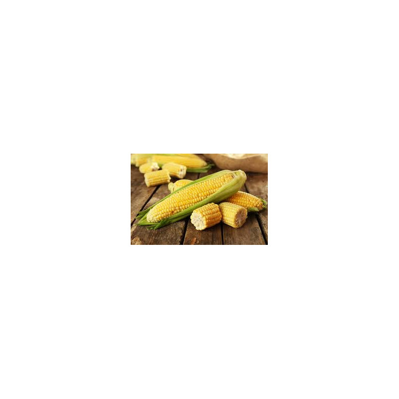 Dehulled Corn