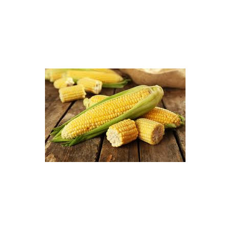 Dehulled Corn
