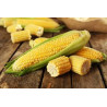 Dehulled Corn