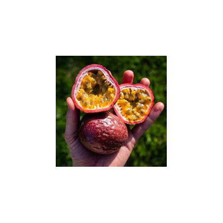 Fruit de la Passion